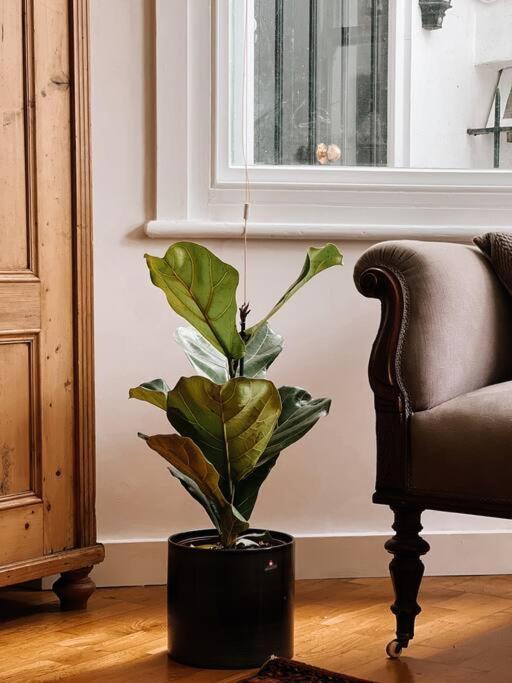 Stunning Victorian Mansion Apartment - Hosted By Agf Property - Free Parking Upon Request Brighton Kültér fotó